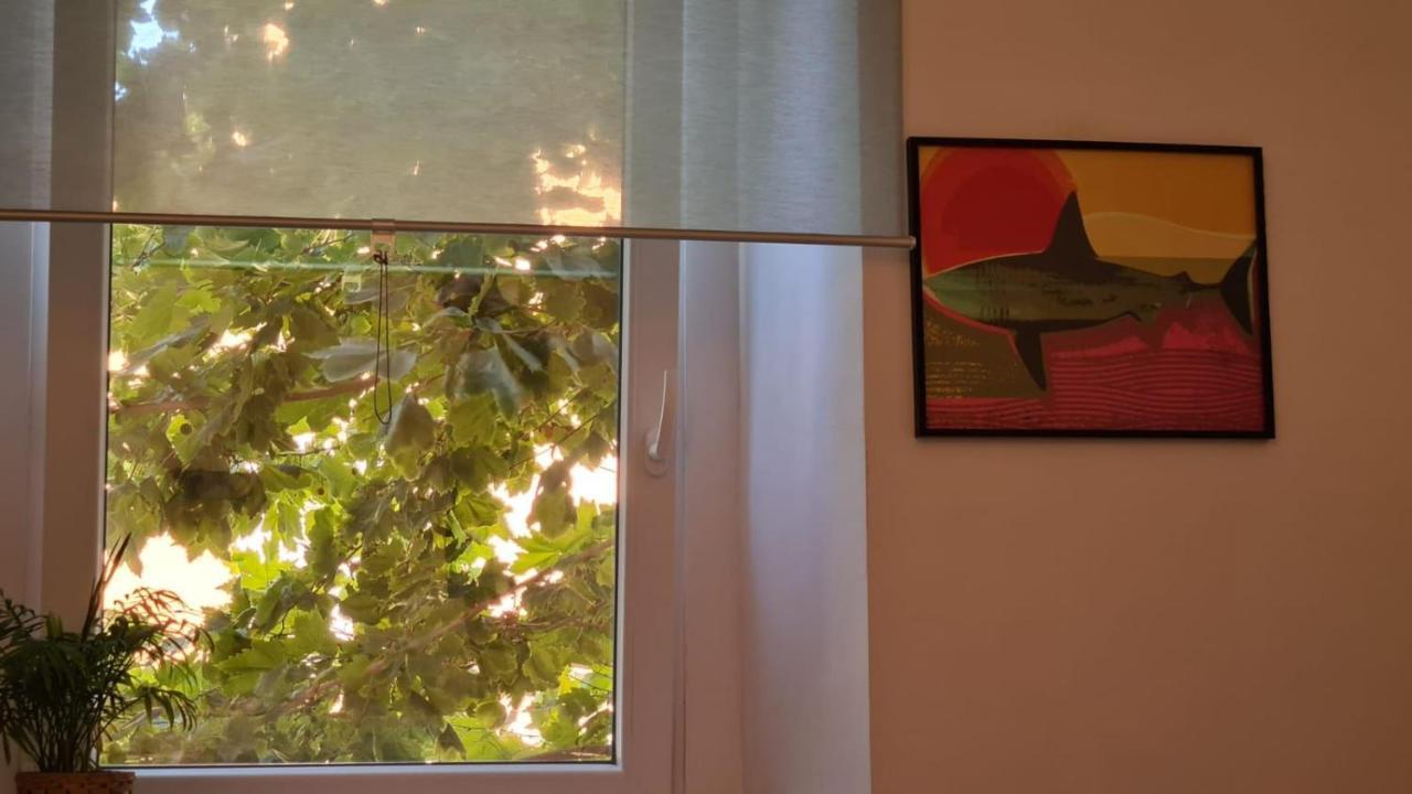 Ladispoli Apartment Εξωτερικό φωτογραφία
